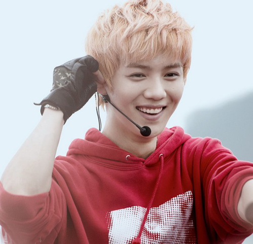 ¹��Ϊʲô�������ɻ�