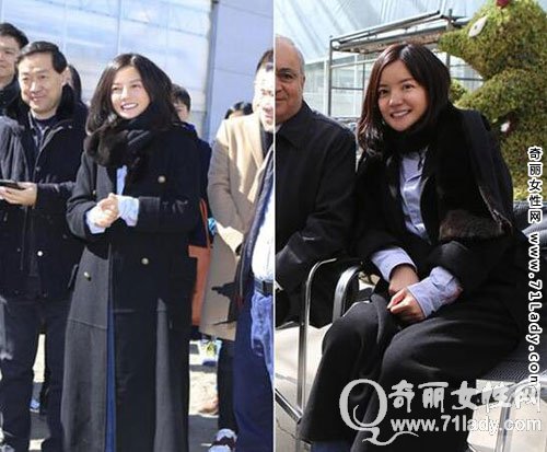 ��ޱ������Ƭ����