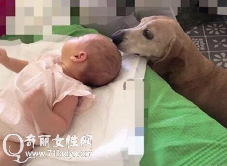 ������ɹŮ���빷������